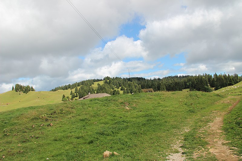 File:View on La Dôle - panoramio (27).jpg