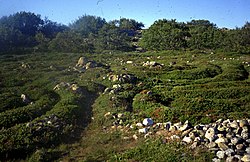 Trojaburchten op Zajatski eiland, Solovetski archipel, Rusland