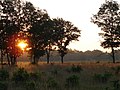 Necedah National Wildlife Refuge