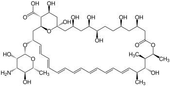 Strukturformel von Amphotericin B