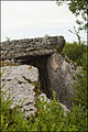 Dolmen du Mas de Pezet