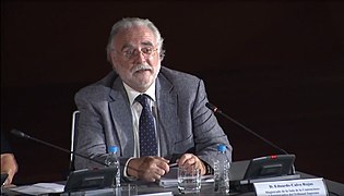 Eduardo Calvo Rojas Consultas municipales, posibilidades, formas y límites jurídicos.jpg