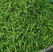 Green Chillies from North India. They are used as spice in many Indian dishes.