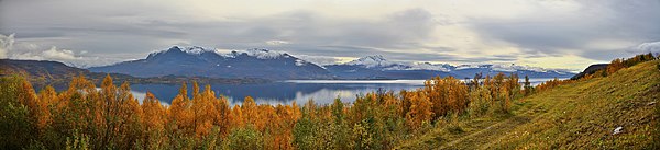 Herjangsfjorden og Ofotfjorden ved Ofoten