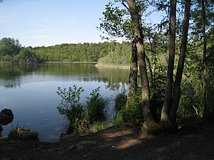 Sjön Judarn ligger mitt i Judarskogens naturreservat.