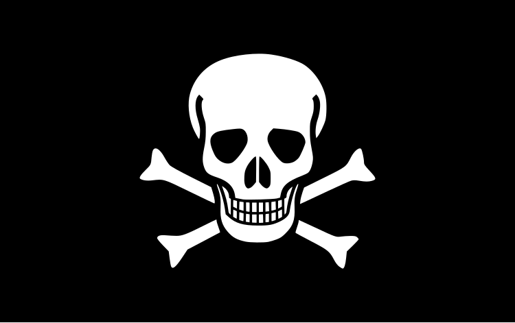 File:Pirate Flag.svg