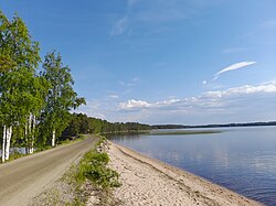 Raatikkasaaren hiekkarantaa kesäkuussa 2023. Oikealla Niemisvesi, vasemmalla puiden takana Pemu.