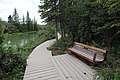 Bench along the Weaselhead boardwalk