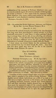 Thumbnail for File:XII.—On undescribed British Hydrozoa, Actinozoa, and Polyzoa (IA biostor-91096).pdf