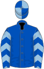 Royal Blue, Light Blue chevrons on sleeves, quartered cap