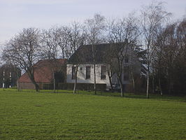 De Beerenclaauw