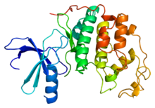 Protein CDK2 PDB 1aq1.png