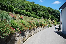 Talus fleuri le long de la voie départementale