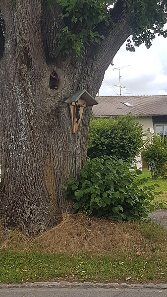 File:Wegkreuz an der Abzw. der Reinhardsriederstr. von der Lindenstr. in Aitrang am Baum.jpg