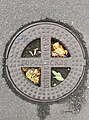 * Nomination: A manhole cover --Lvova 14:22, 24 October 2024 (UTC) * * Review needed