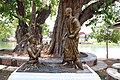 Phra Ruang changeant en pierre le méchant sorcier khmer qui voyageait sous terre, épisode de la vie légendaire de Phra Ruang