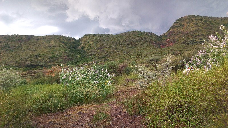 File:Bogoria channel.jpg