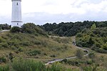 Thumbnail for File:Heath in NP Vorpommersche Boddenlandschaft north of Hiddensee 2021-09-17 40.jpg