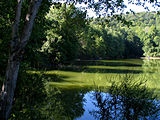 Scarlet Oak Pond, Ramapo Reservation