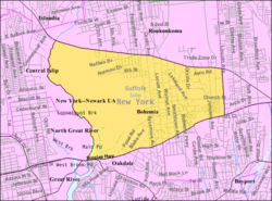 U.S. Census Map