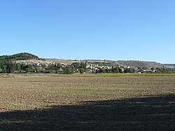 Skyline of Castrillo de Don Juan