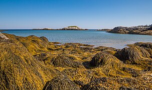 Harbour Rocks Izla Prinzipe Edvard