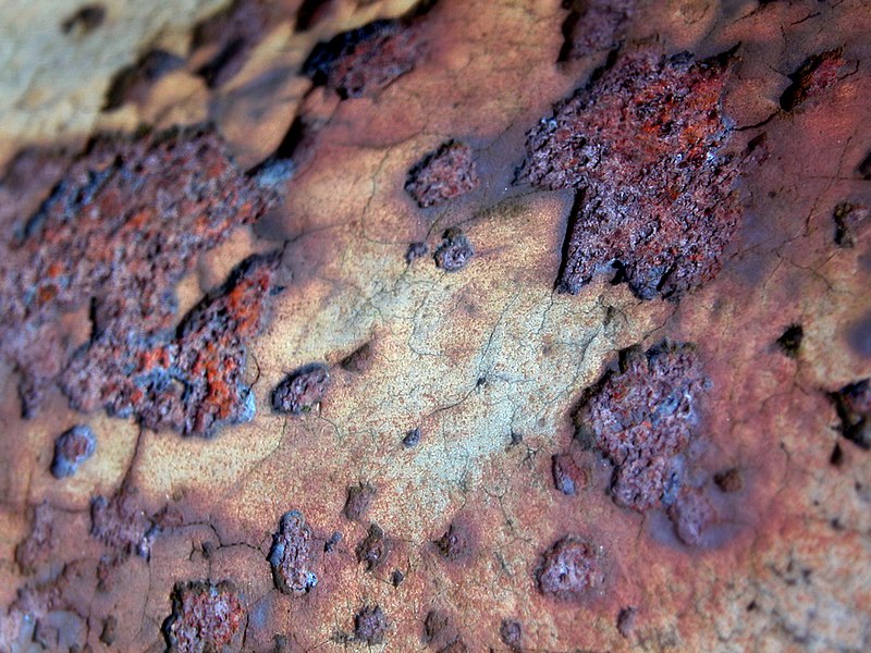 File:Rust-flake-macro.jpg