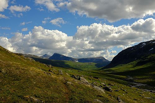 Flott bilde fra Rykkjedalen i Junkerdal nasjonalpark. Fin dybde i bildet.Veldig viktig bevaringsområde med sin artsrikdom av både flora og fauna.