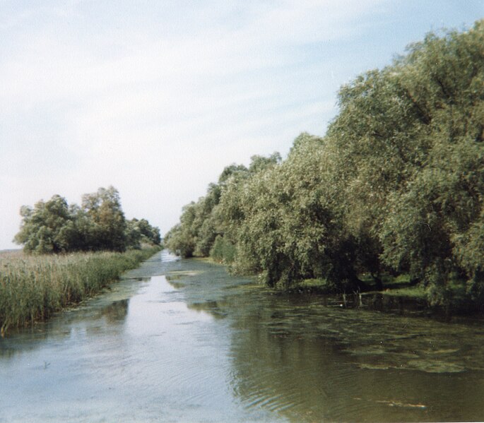 File:Danube Delta 1986 (3).jpg