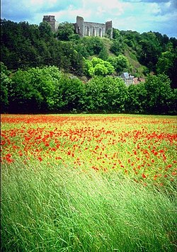 Image illustrative de l’article Forterre (Yonne)