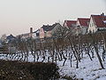 Weinberge am Mainufer