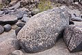 Pinturesa a Painted Rock Petroglyph Site.