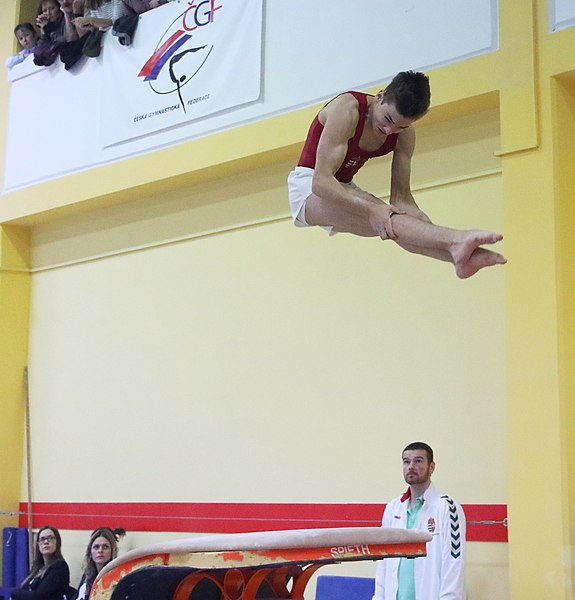 File:2019-11-30 OHC Liberec 2019 MAG Apparatus finals Vault (Martin Rulsch) 038.jpg