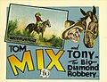 The Big Diamond Robbery (1929)