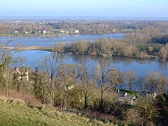 Viennen ja Loiren yhtymäkohta. Etualalla Vienne, taustalla Loire.