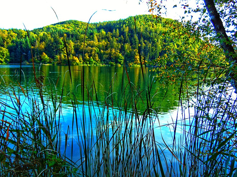 File:Lago di Monticolo - Photo by Giovanni Ussi - Lago Grande 45.jpg