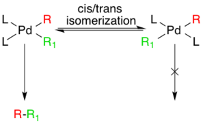 Generation of active species via cis/trans isomerism