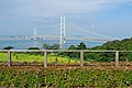 Akashi-Kaikyō-Brücke