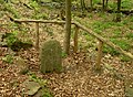 Mordstein 2 im Steinbachtal