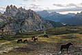 Parco Naturale Tre Cime horses 3.jpg4 200 × 2 800; 3,01 MB