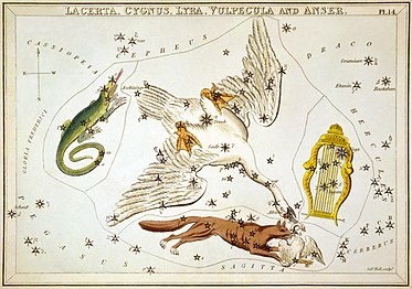 Carta 14: Lacerta, Cygnus, Lyra, i Vulpecula and Anser