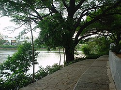 Danau Teratai di dekat Film Nagar