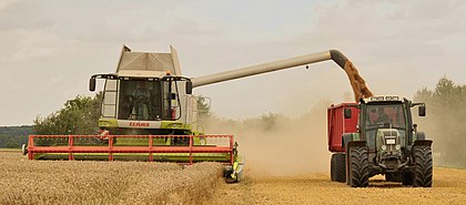 Colheita do trigo perto de Eldagsen, Alemanha. A colheitadeira Claas Lexion 584 06833 corta, debulha, tritura a palha e a sopra pelo campo, enquanto o trigo debulhado é carregado em um reboque. A Claas Lexion é uma série de colheitadeiras do fabricante de máquinas agrícolas Claas em Harsewinkel. (definição 2 450 × 1 082)