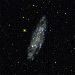 NGC 4236-1