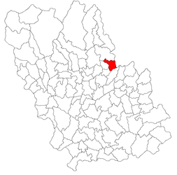 Location in Prahova County