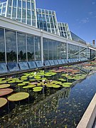 Pond outside the conservatory