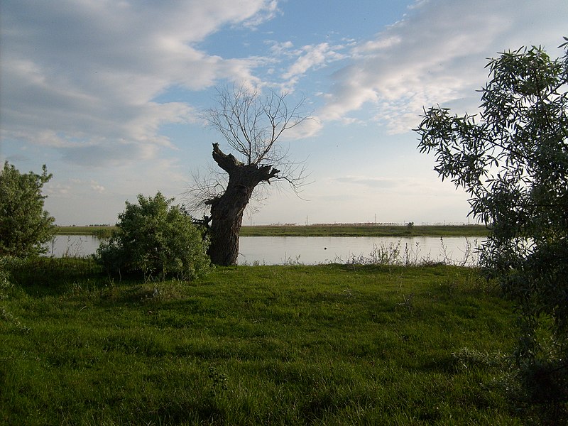 File:Danube-Delta2008v.jpg