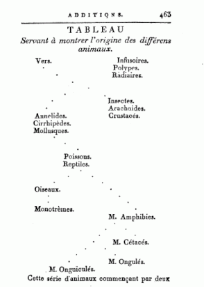 Jean-Baptiste Lamarck's 1809 depiction of the origins of animal groups in his Philosophie zoologique with branching evolutionary paths, not considered an evolutionary tree