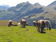 Vue depuis le col d Erroimendi.jpg