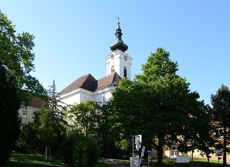 File:Wiener Naturdenkmal 800 - Baumhasel (Hietzing) a.jpg